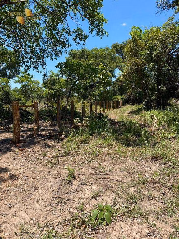 Fazenda de 4.100 ha em Cuiabá, MT