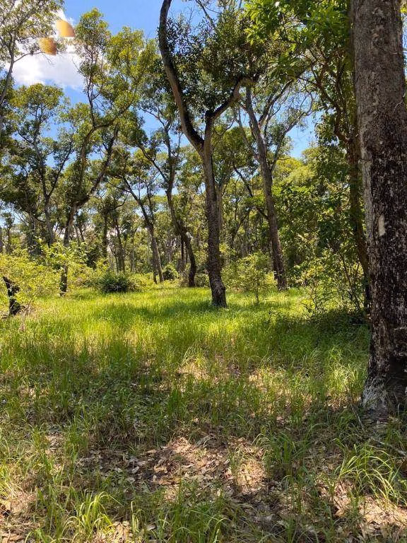 Farm of 10.131 acres in Cuiabá, MT, Brazil