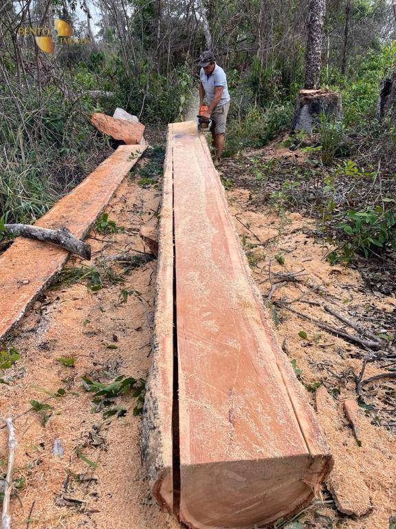 Fazenda de 4.100 ha em Cuiabá, MT