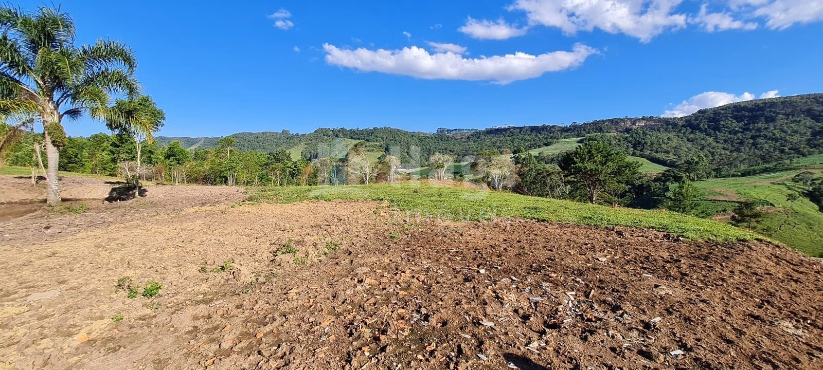 Terreno de 28 ha em Alfredo Wagner, SC