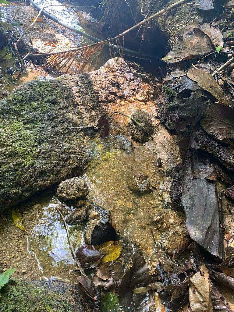 Chácara de 5 ha em Nova Trento, SC