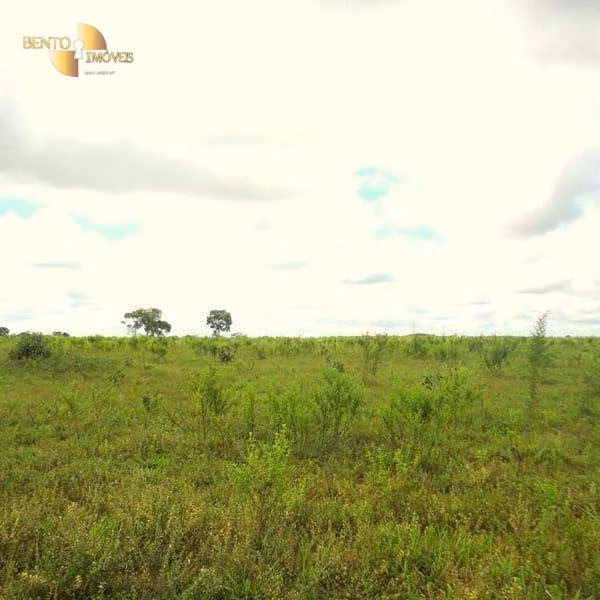 Fazenda de 1.590 ha em Chapada dos Guimarães, MT