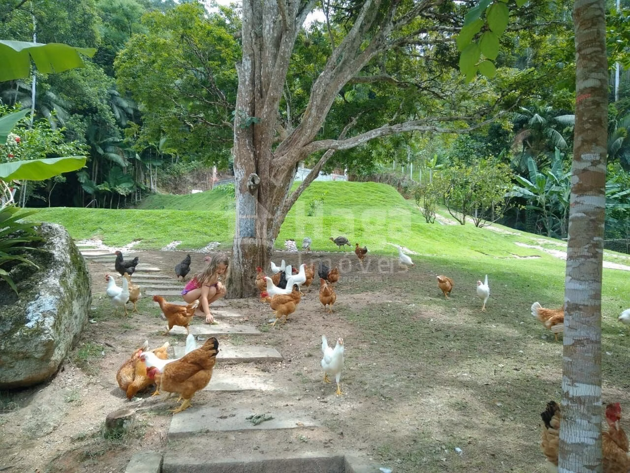 Fazenda de 5 ha em Nova Trento, SC