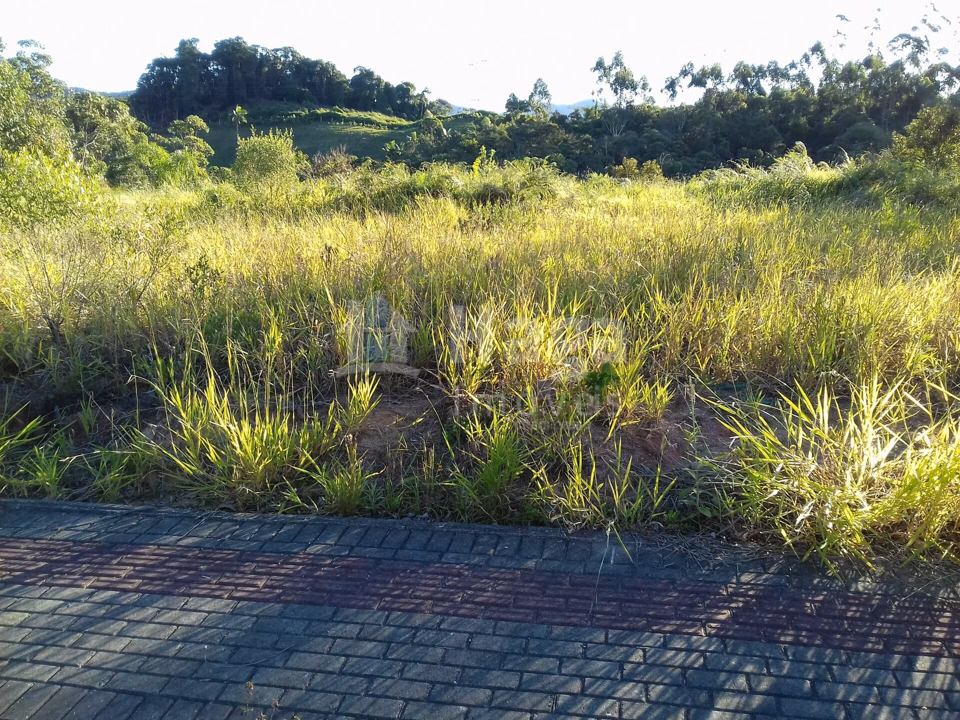Terreno de 561 m² em Guabiruba, SC