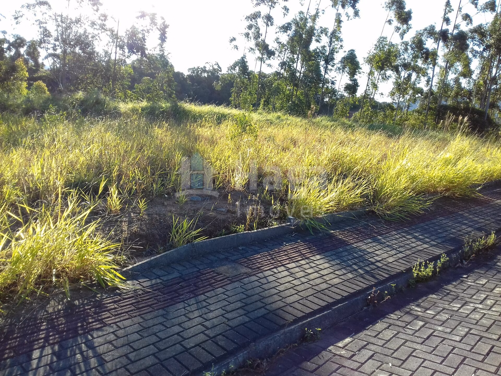 Terreno de 561 m² em Guabiruba, SC