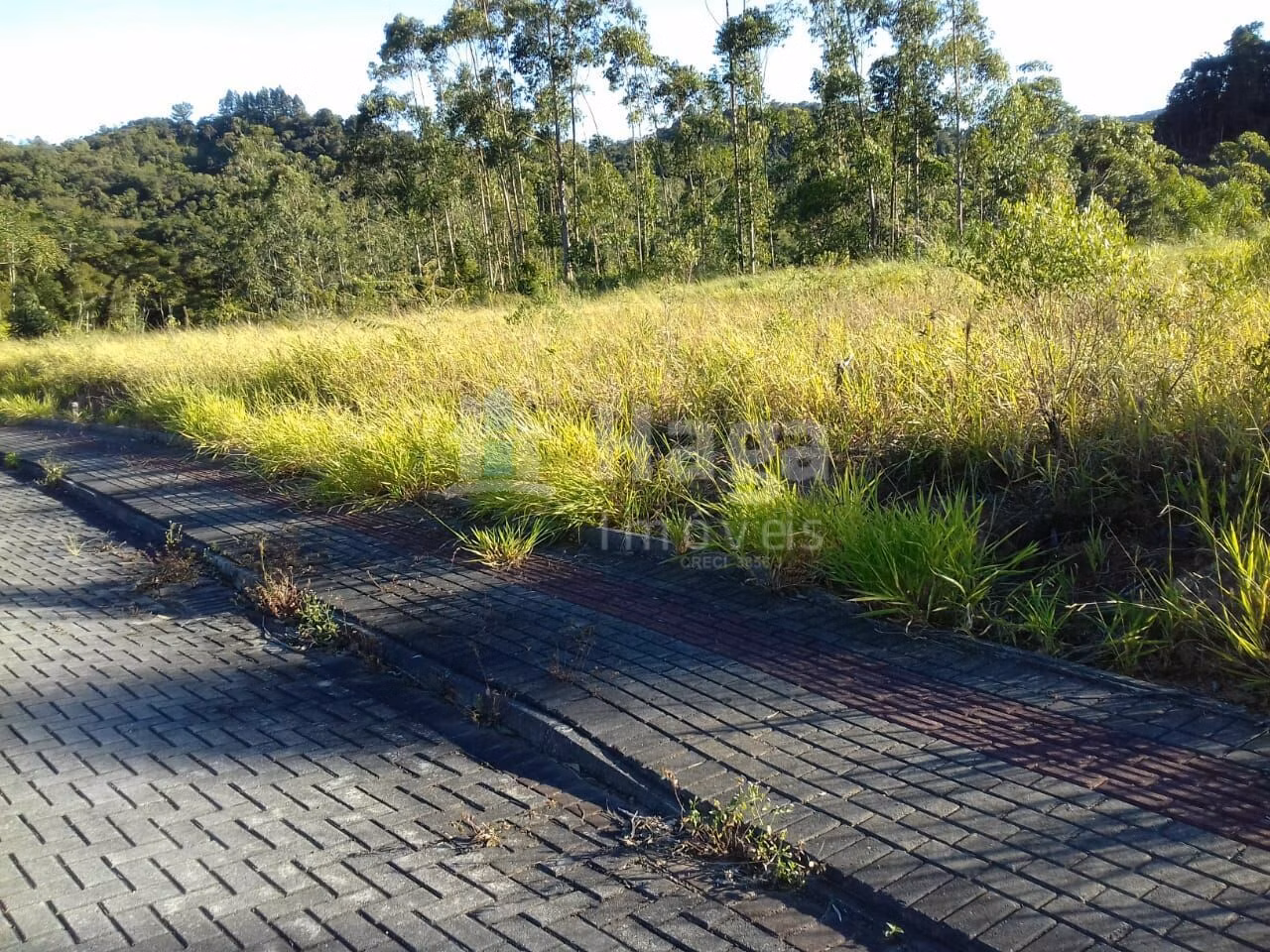 Terreno de 561 m² em Guabiruba, SC