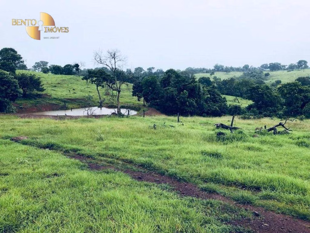 Farm of 2,916 acres in Poxoréu, MT, Brazil