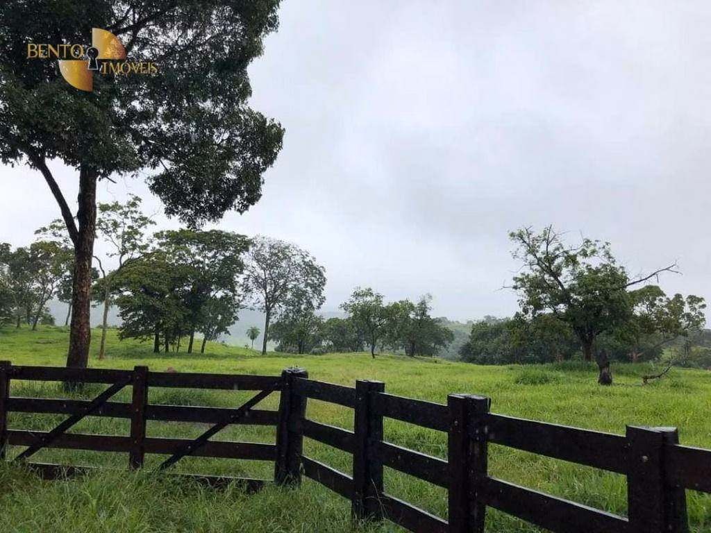 Fazenda de 1.180 ha em Poxoréu, MT