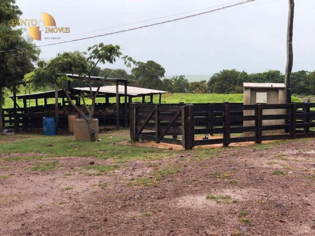 Farm of 2,916 acres in Poxoréu, MT, Brazil