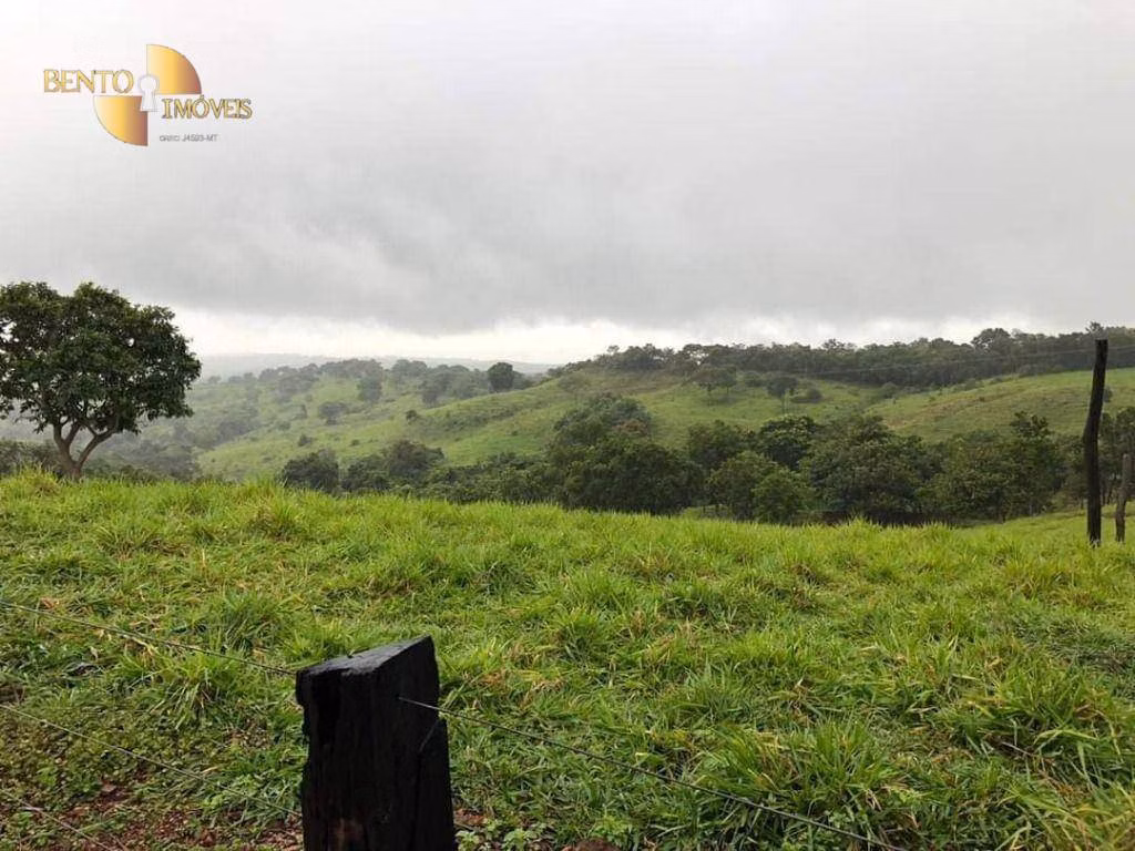 Fazenda de 1.180 ha em Poxoréu, MT