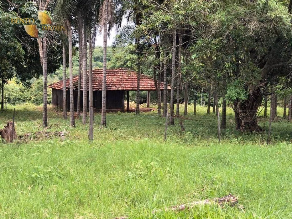 Fazenda de 1.180 ha em Poxoréu, MT