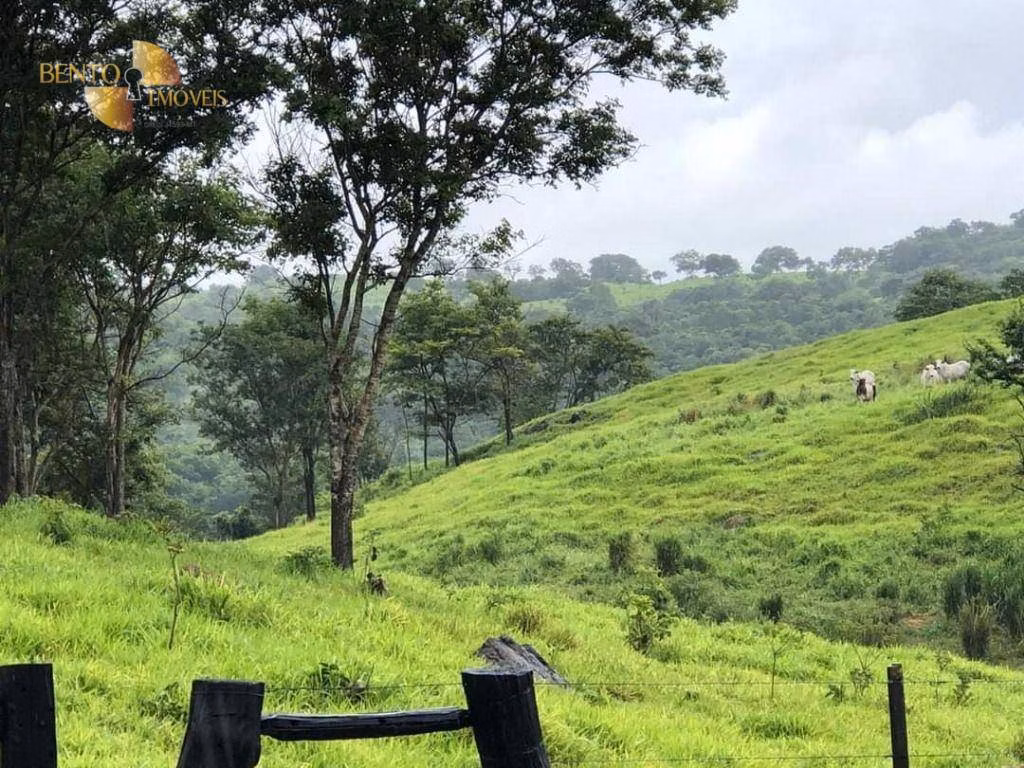 Farm of 2,916 acres in Poxoréu, MT, Brazil