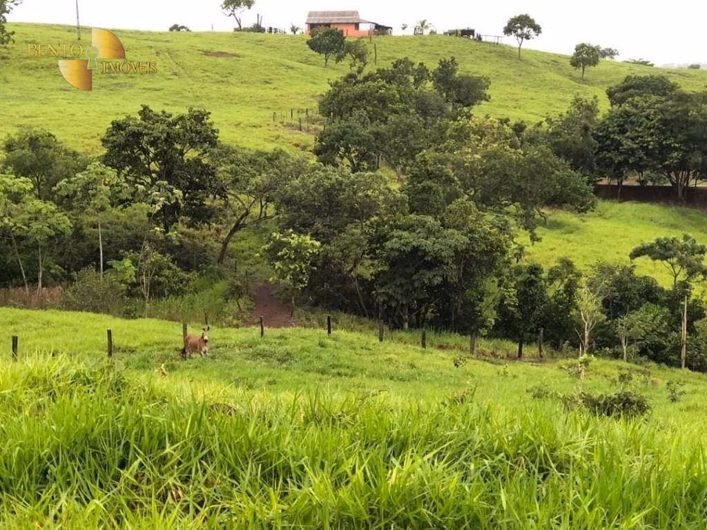 Farm of 2,916 acres in Poxoréu, MT, Brazil