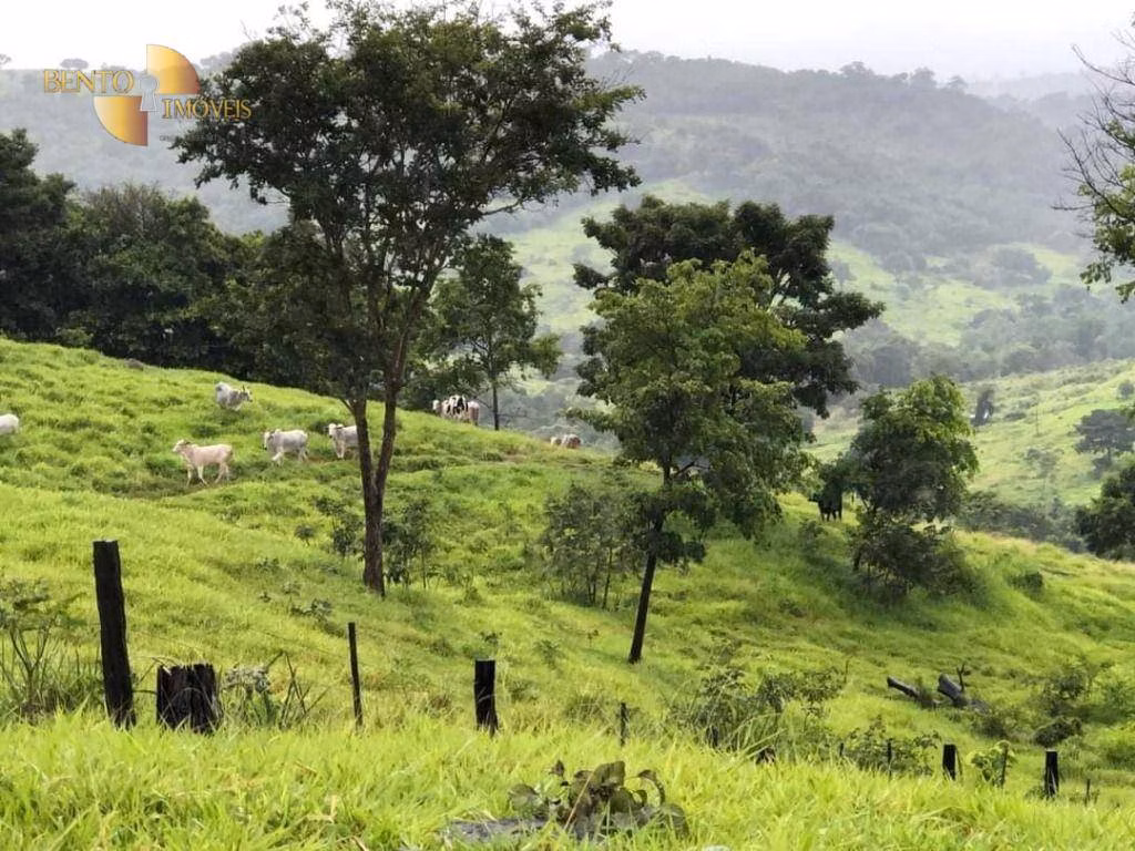 Farm of 2,916 acres in Poxoréu, MT, Brazil