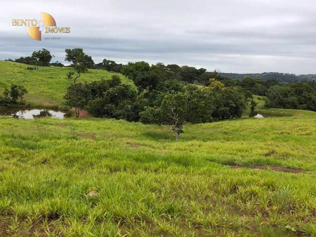 Farm of 2,916 acres in Poxoréu, MT, Brazil