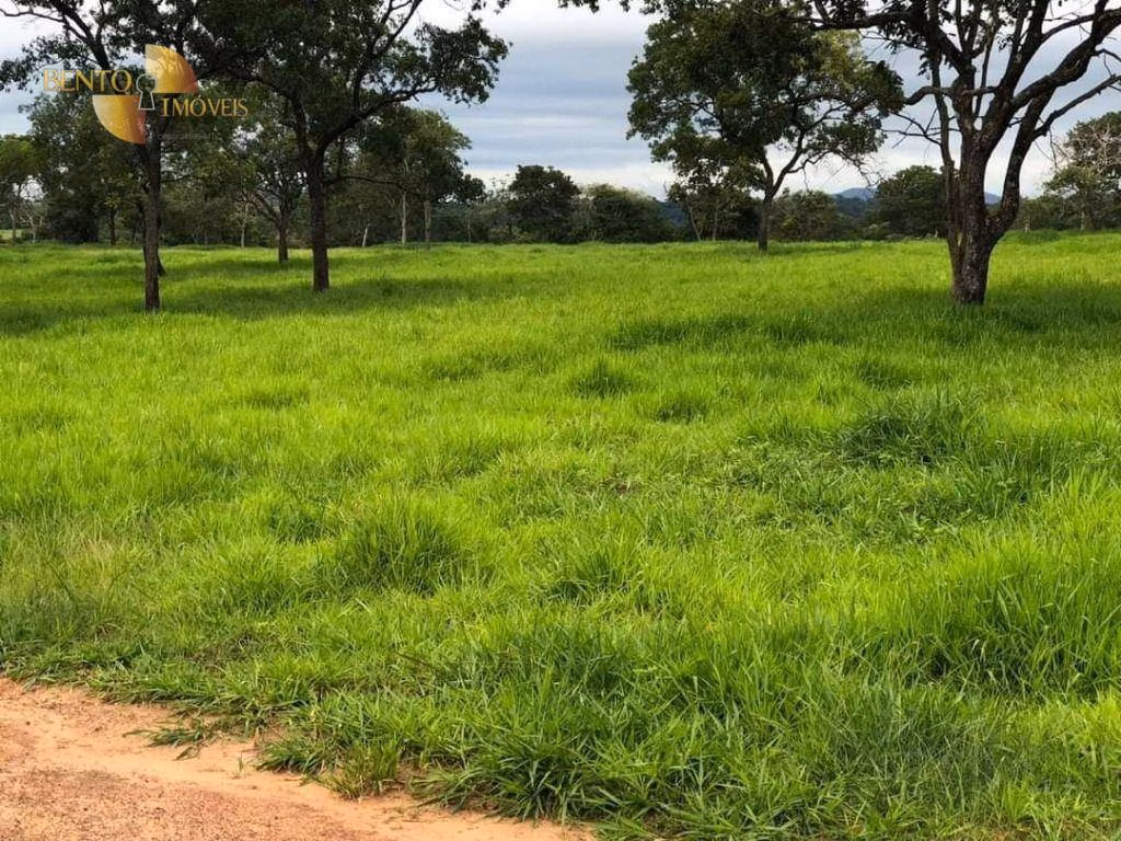 Farm of 2,916 acres in Poxoréu, MT, Brazil