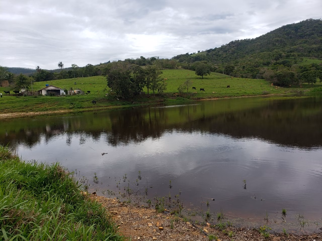 Sítio de 61 ha em Monte Sião, MG