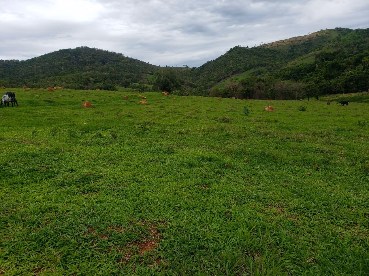 Sítio de 61 ha em Monte Sião, MG