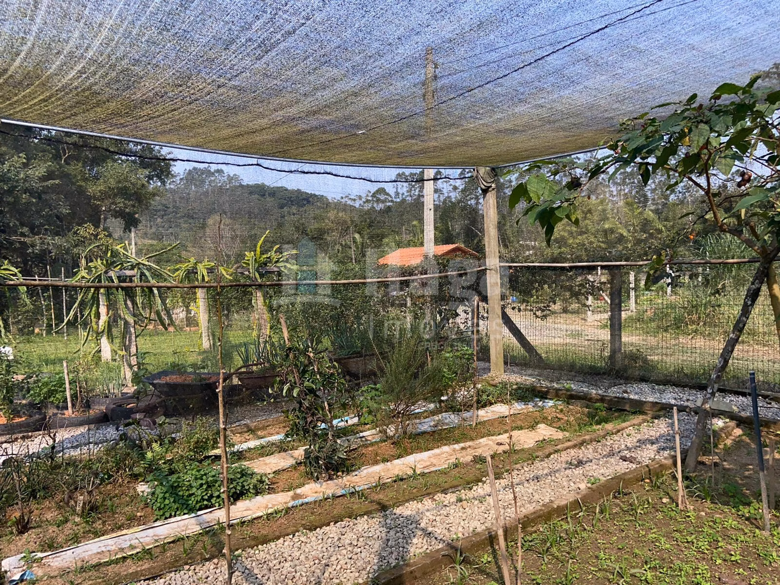 Farm of 2 acres in Canelinha, SC, Brazil