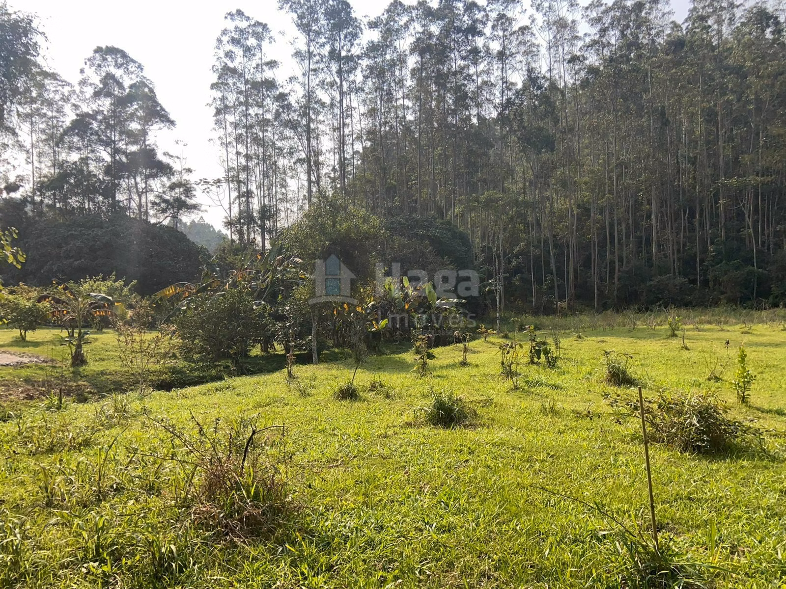 Farm of 2 acres in Canelinha, SC, Brazil