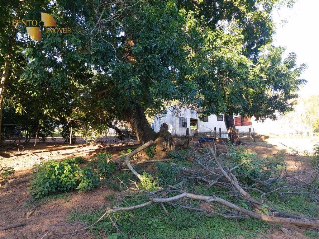 Farm of 413 acres in Poxoréu, MT, Brazil