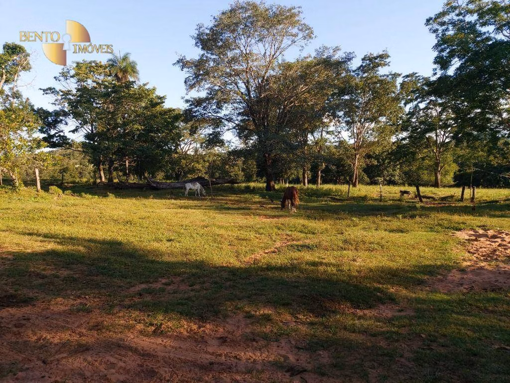 Farm of 413 acres in Poxoréu, MT, Brazil