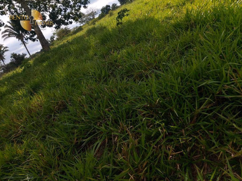 Farm of 413 acres in Poxoréu, MT, Brazil