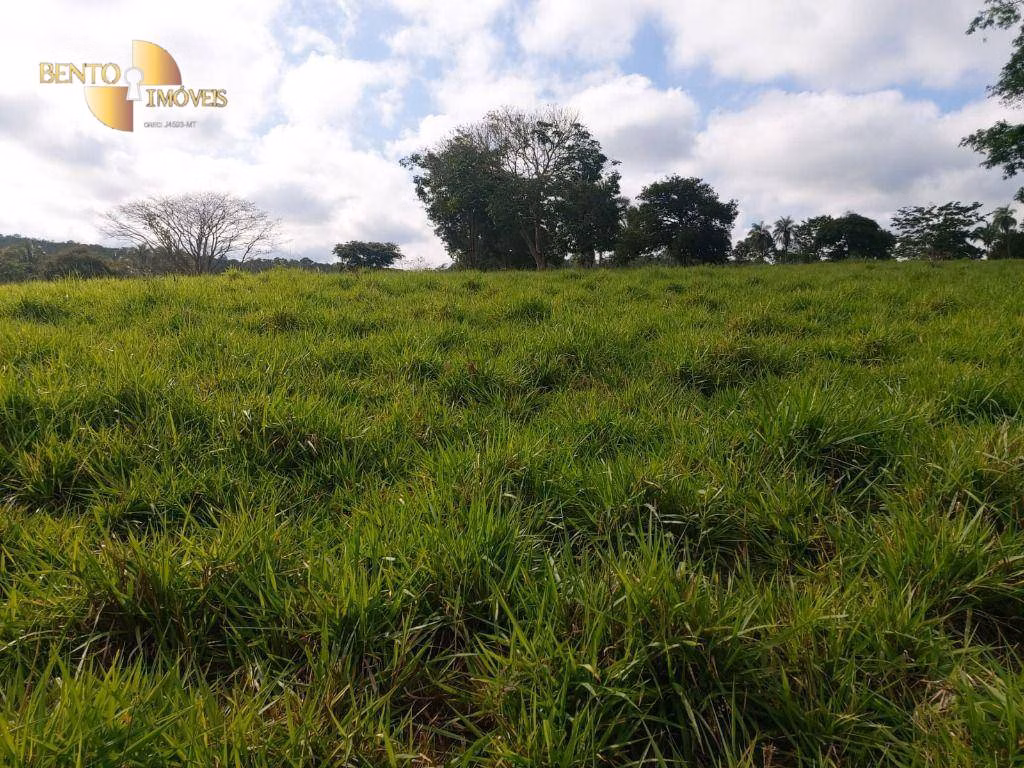 Farm of 413 acres in Poxoréu, MT, Brazil