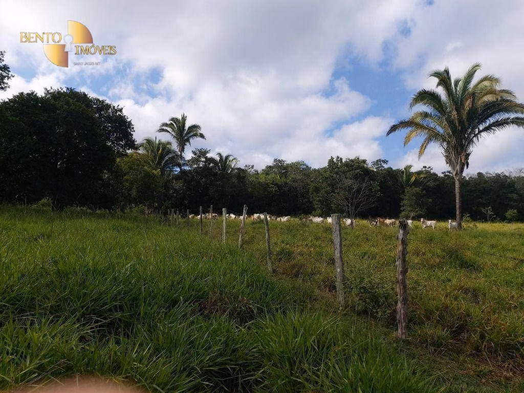 Farm of 413 acres in Poxoréu, MT, Brazil