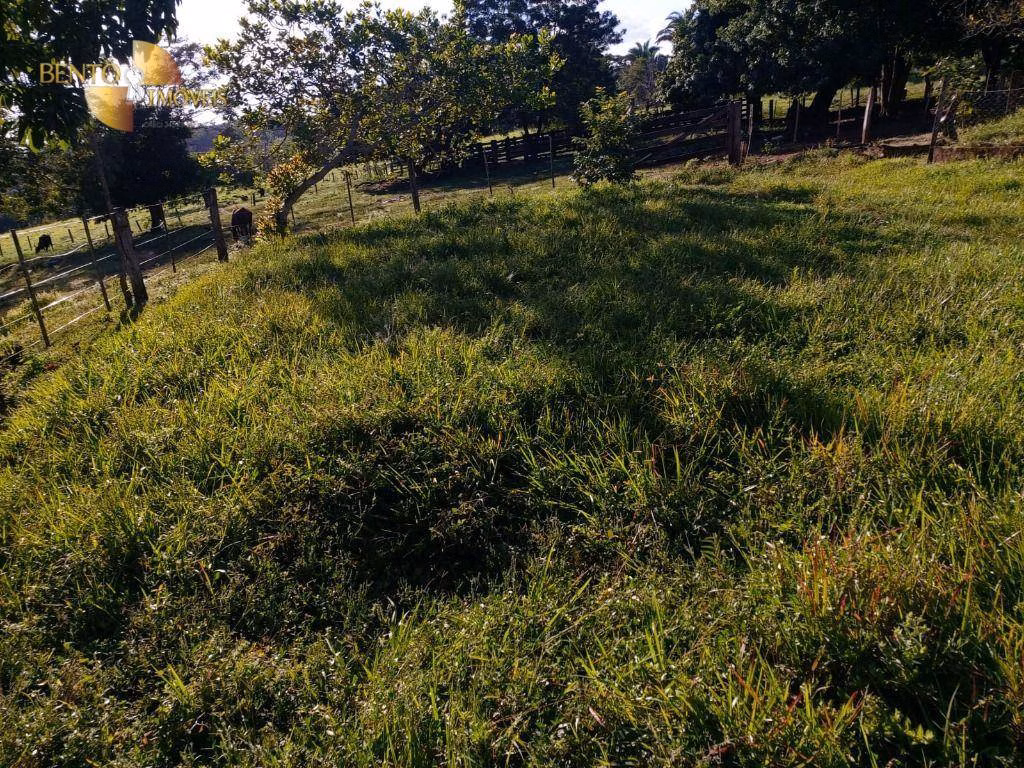 Farm of 413 acres in Poxoréu, MT, Brazil