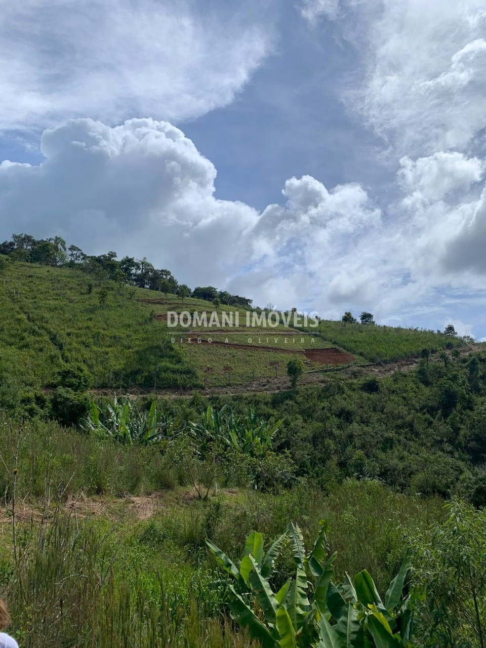 Terreno de 1.170 m² em Santo Antônio do Pinhal, SP