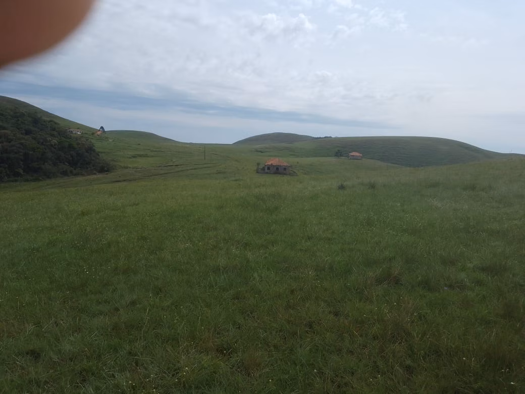Farm of 443 acres in Areias, SP, Brazil