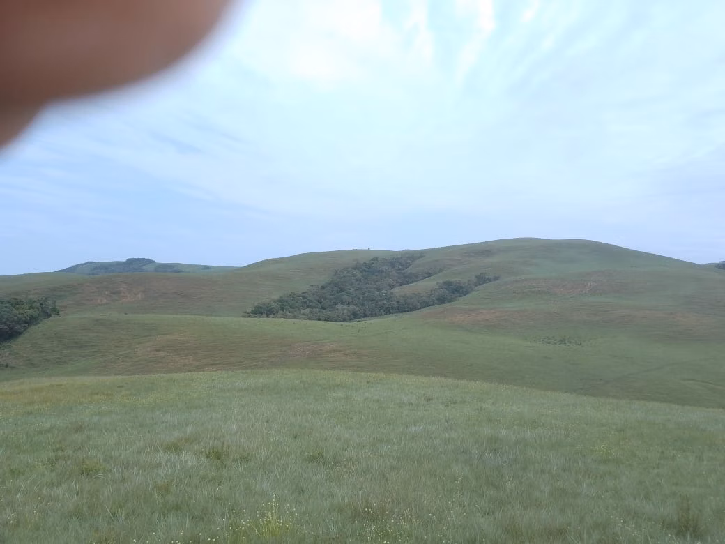Farm of 443 acres in Areias, SP, Brazil