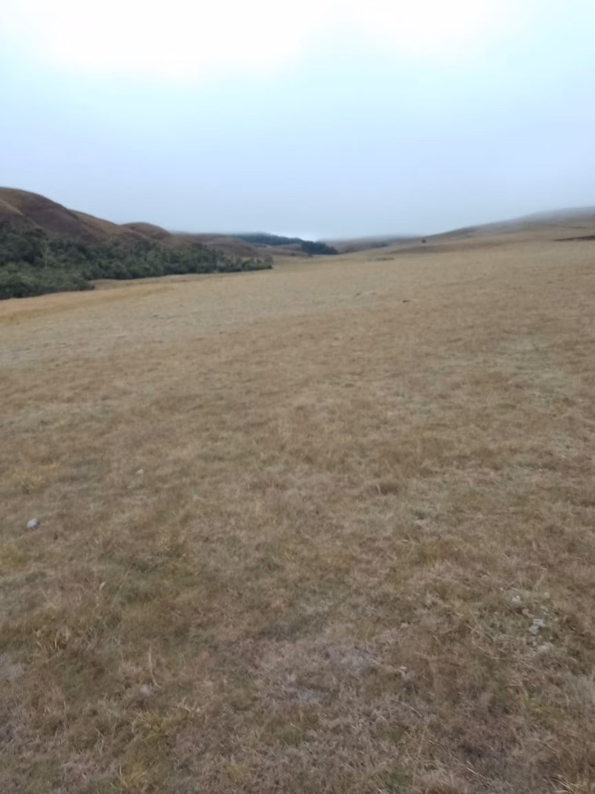 Farm of 443 acres in Areias, SP, Brazil