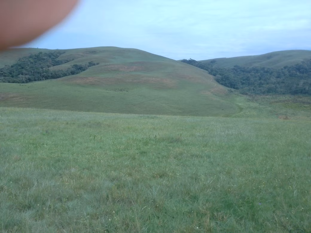 Farm of 443 acres in Areias, SP, Brazil