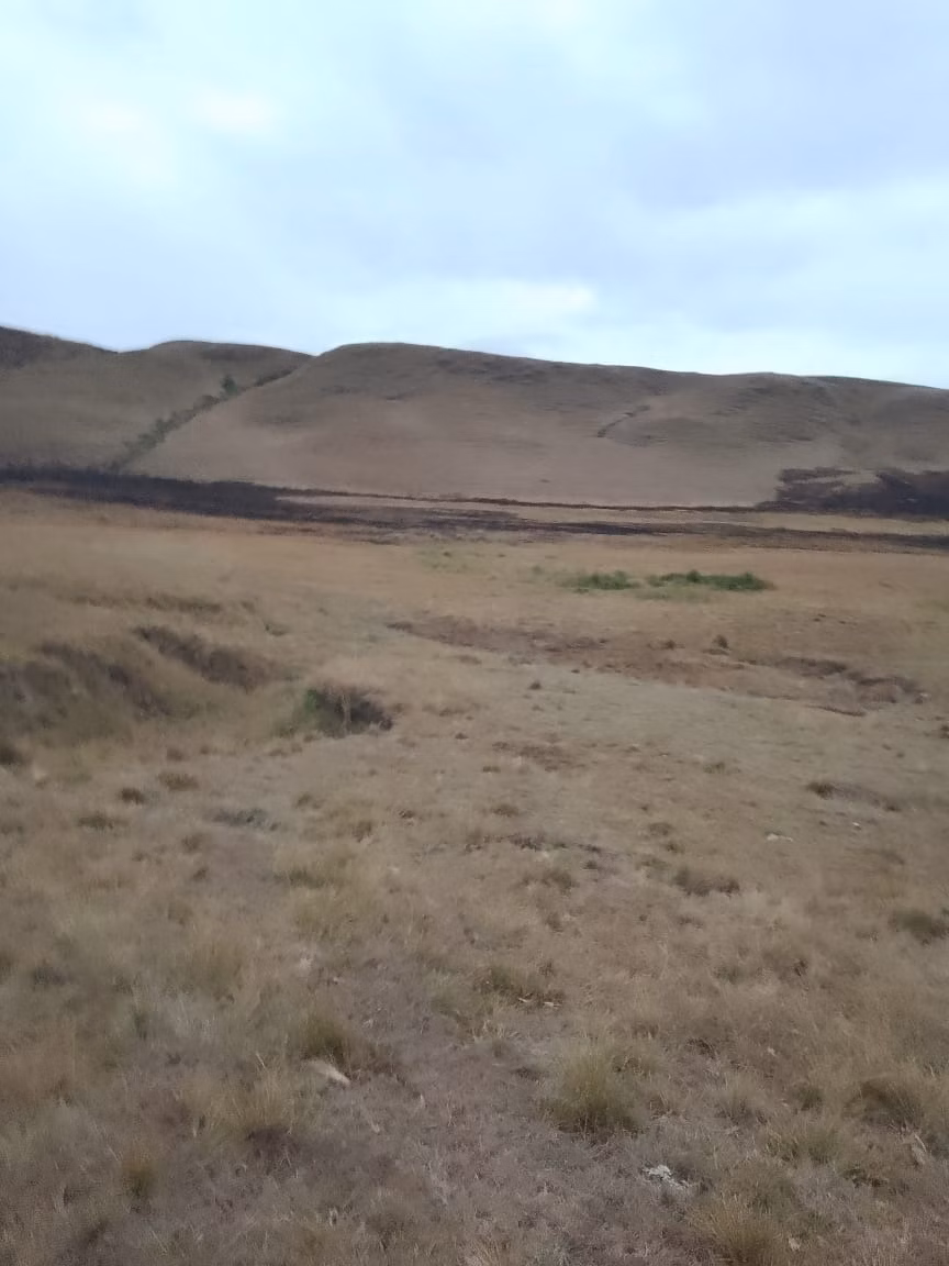 Farm of 443 acres in Areias, SP, Brazil