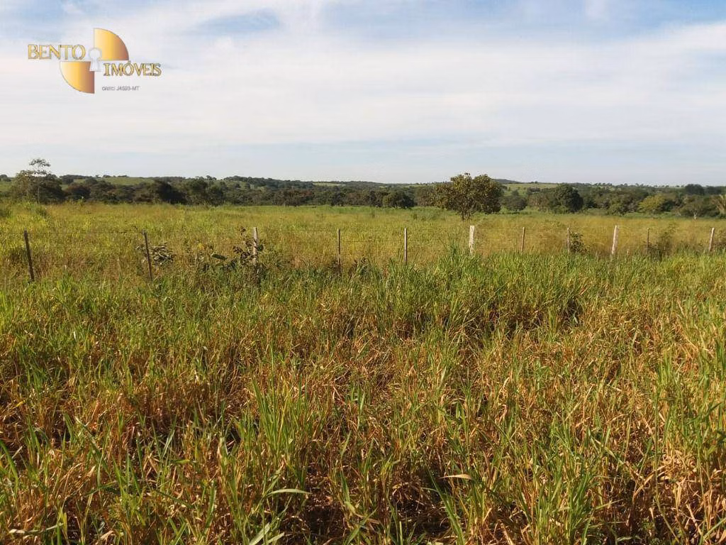 Fazenda de 1.570 ha em Acorizal, MT