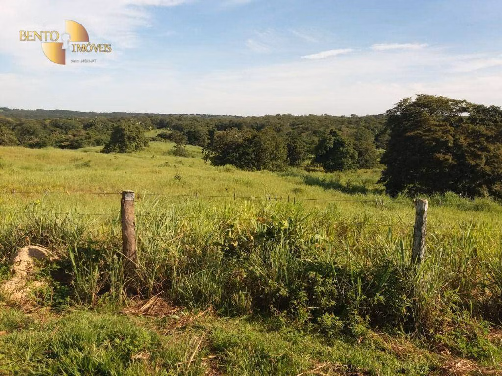 Fazenda de 1.570 ha em Acorizal, MT
