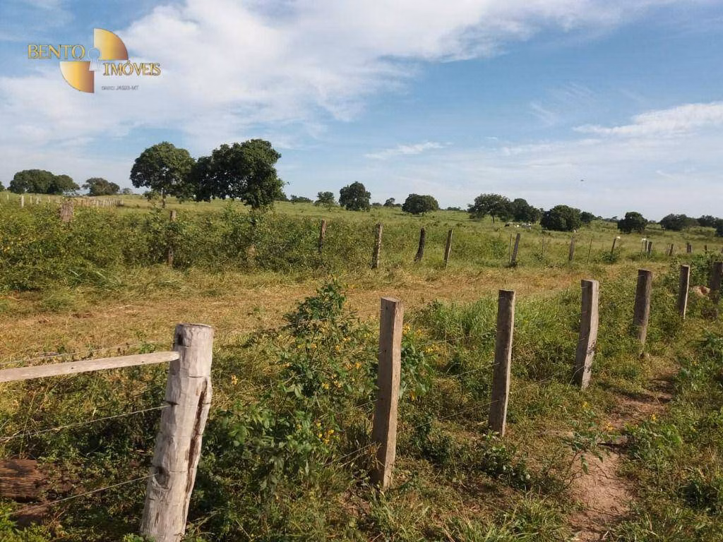 Fazenda de 1.570 ha em Acorizal, MT