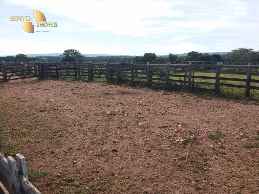 Fazenda de 1.570 ha em Acorizal, MT