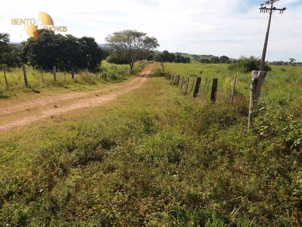 Fazenda de 1.570 ha em Acorizal, MT