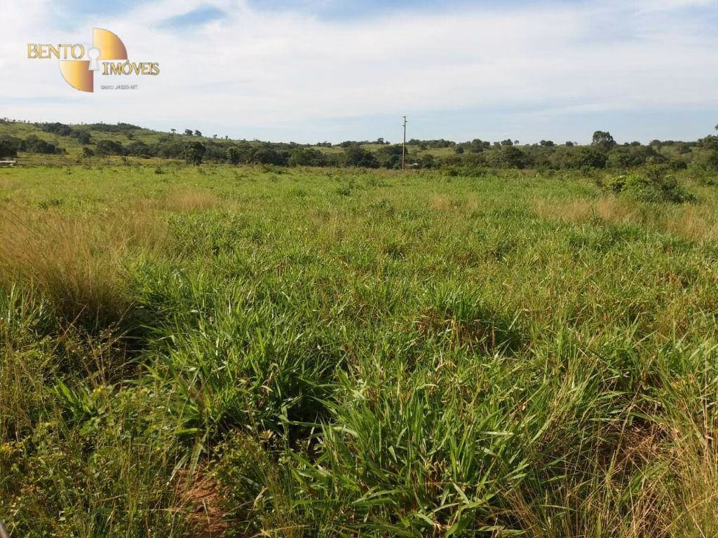 Fazenda de 1.570 ha em Acorizal, MT