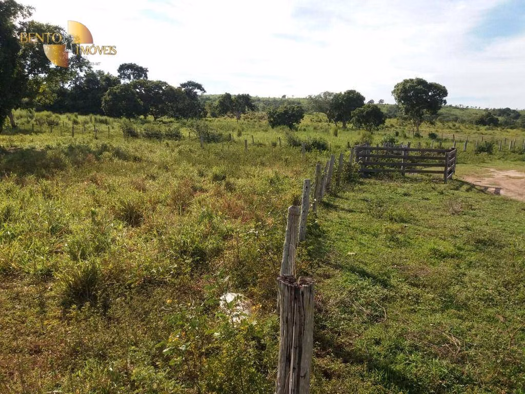 Fazenda de 1.570 ha em Acorizal, MT