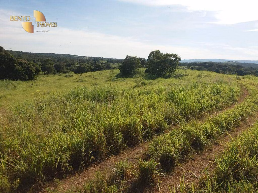 Fazenda de 1.570 ha em Acorizal, MT