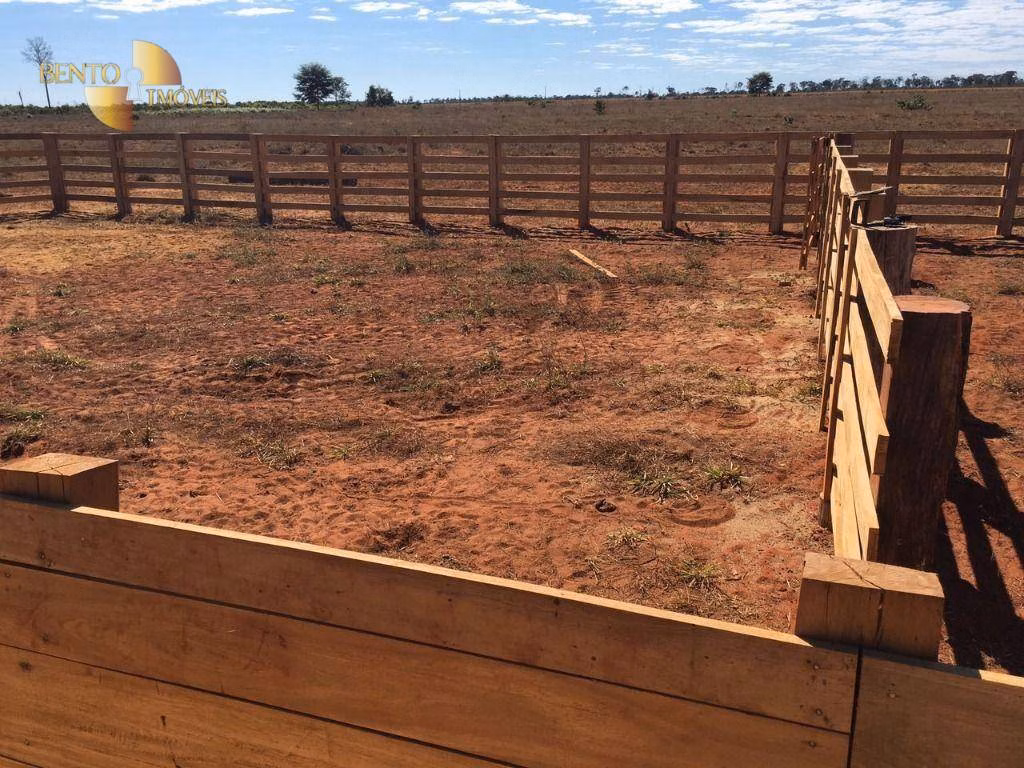 Fazenda de 1.200 ha em Paranatinga, MT