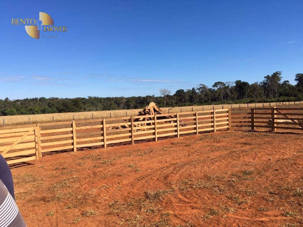 Fazenda de 1.200 ha em Paranatinga, MT