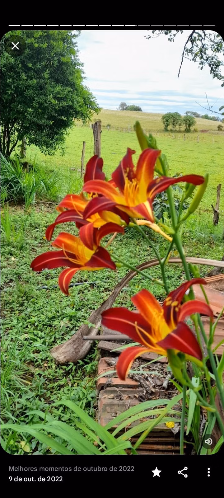 Sítio de 11 ha em Santo Ângelo, RS