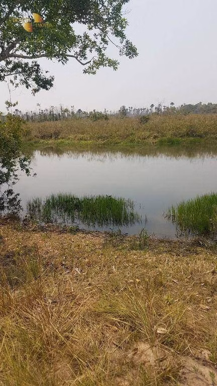 Fazenda de 3.840 ha em Porto Esperidião, MT