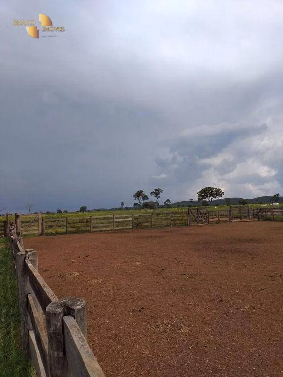 Fazenda de 3.840 ha em Porto Esperidião, MT