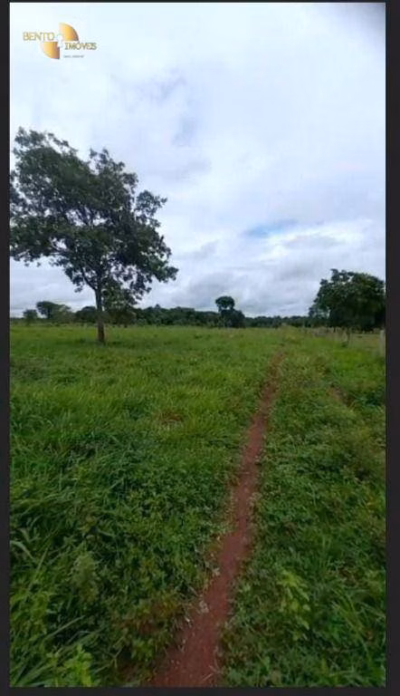 Fazenda de 191 ha em Jangada, MT